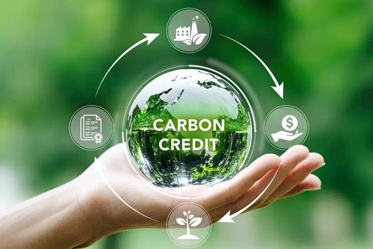 Carbon credits carbon credit