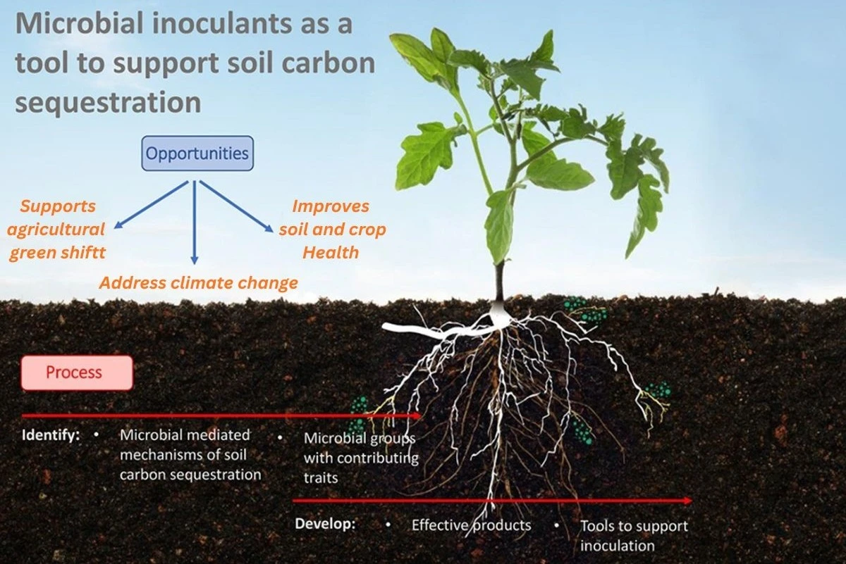 Nature Based Solutions nature based solutions