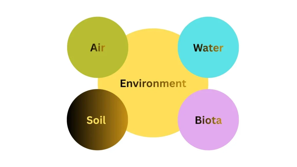 Soil, Water & Terroir: How horticulture soils shape fruit quality terroir for fruit quality