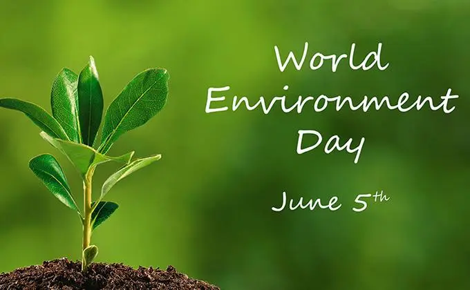 Every seed planted is not just a crop, world environment day 5 june